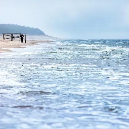 Leo Sea View Apartament *